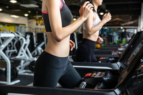 健身最新爆料文案,揭秘健身达人秘籍与前沿训练方法 第2张 健身最新爆料文案,揭秘健身达人秘籍与前沿训练方法 第2张